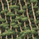 Tactical-Camo-93.jpg