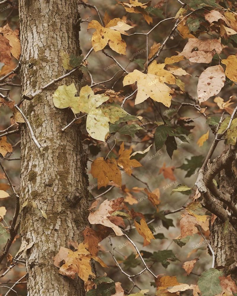 Tactical Camouflage 100