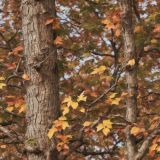 Tactical-Camouflage-98.jpg