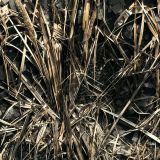 Tactical-Dried-Grass-Camo-104.jpg