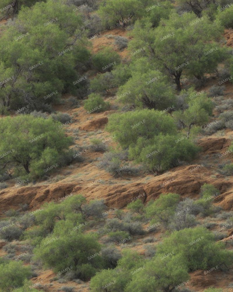 Tactical Grand Canyon Camouflage