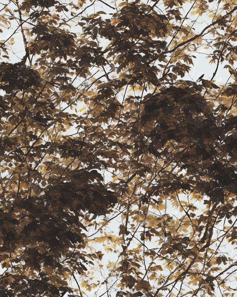 Tactical Treestand Camouflage 201
