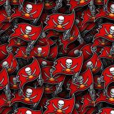 Tampa-Bay-Buccaneers-22.jpg
