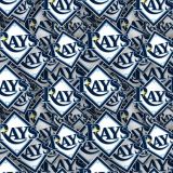 Tampa-Bay-Rays.jpg