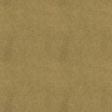 Tan-Leather.jpg