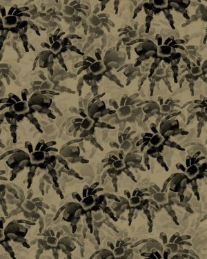 Tarantulas 24 Camouflage