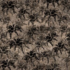 Tarantulas 25 Camouflage