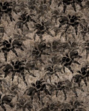 Tarantulas 25 Camouflage