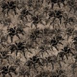 Tarantulas-25-Camo.jpg
