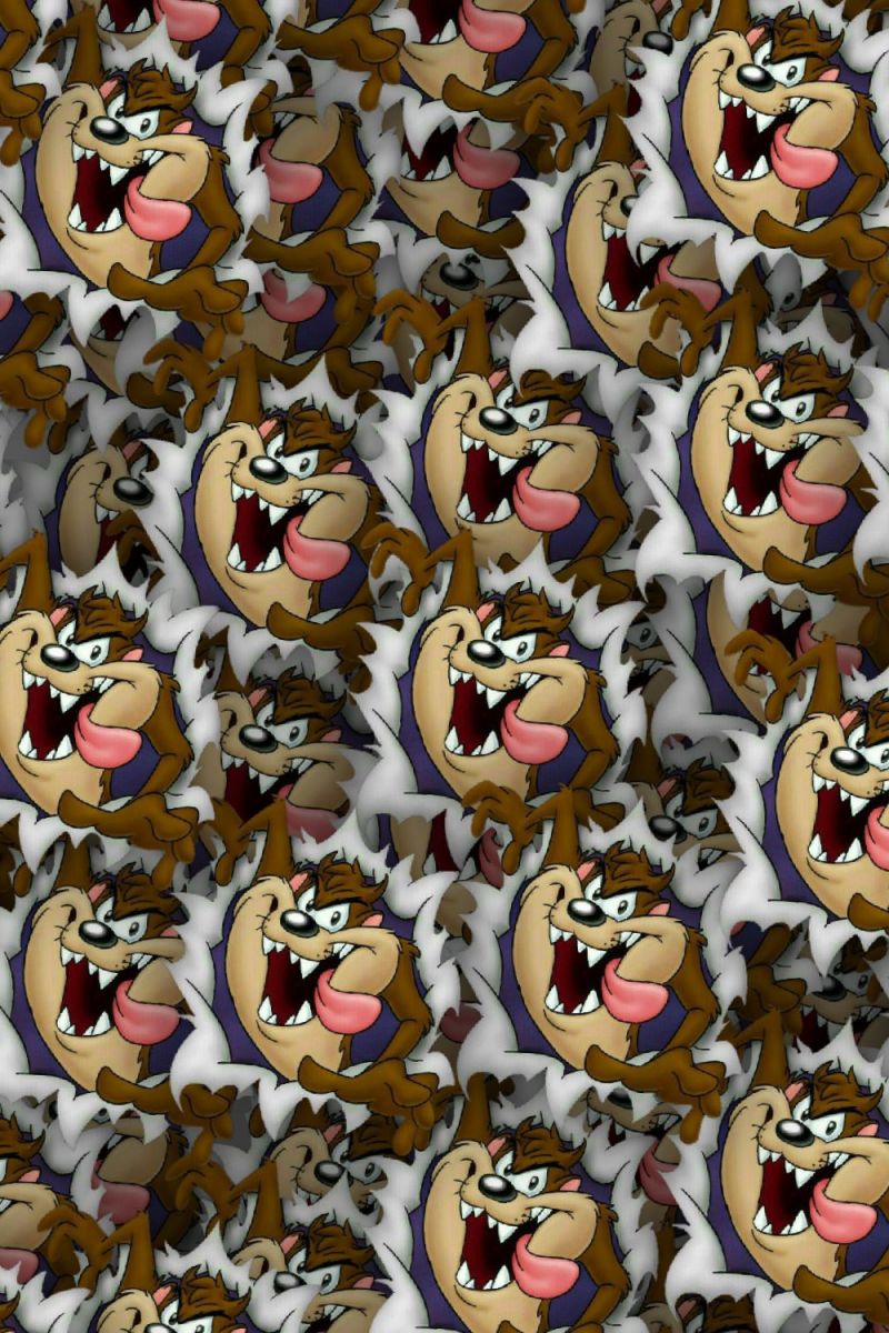 Tazmanian Devil 23