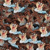 Tazmanian-Devil-24.jpg