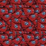 Tennessee-State-Flag.jpg