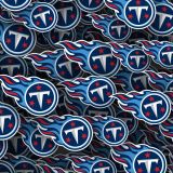 Tennessee-Titans-22-thumb.jpg