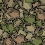 Texas-22-Camo.jpg