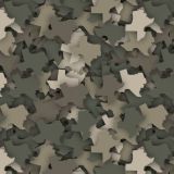 Texas-24-Camo.jpg