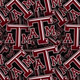 Texas-AM-University.jpg