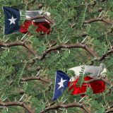 Texas-Mesquite-Camo-22-thumb.jpg