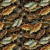 Texas-Sport-Fish.jpg