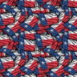 Texas-State-Flag.jpg
