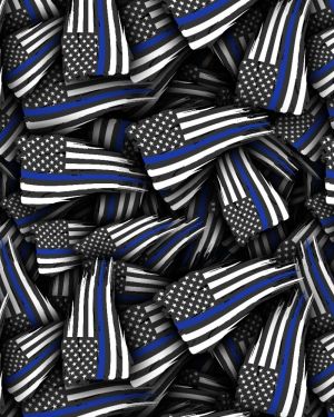 Thin Blue Line Flag Tattered