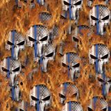 Thin-Blue-Line-Punisher-on-Fire.jpg