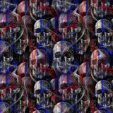 Thin-Blue-Line-Skulls-with-Smoke.jpg