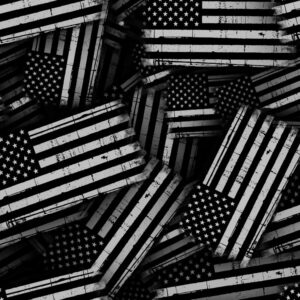Thin White Line Flag Distressed