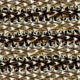 Thorny-Vines-23-thumb.jpg