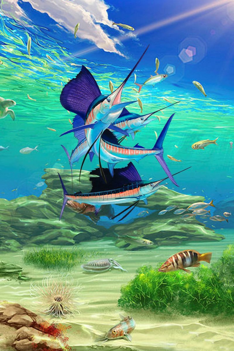 Three Sailfish 11×16