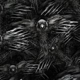 Throne-Raven.jpg