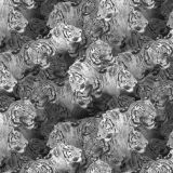 Tiger-Drawing-23.jpg