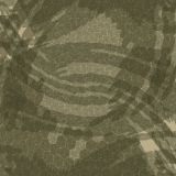 Tiger-Hex-23-Camo.jpg