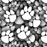 Tiger-Paw.jpg