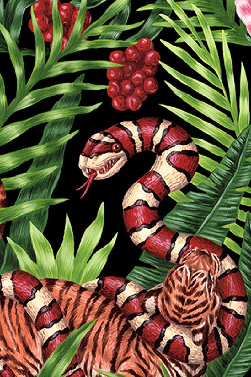 Tiger Snake Fight