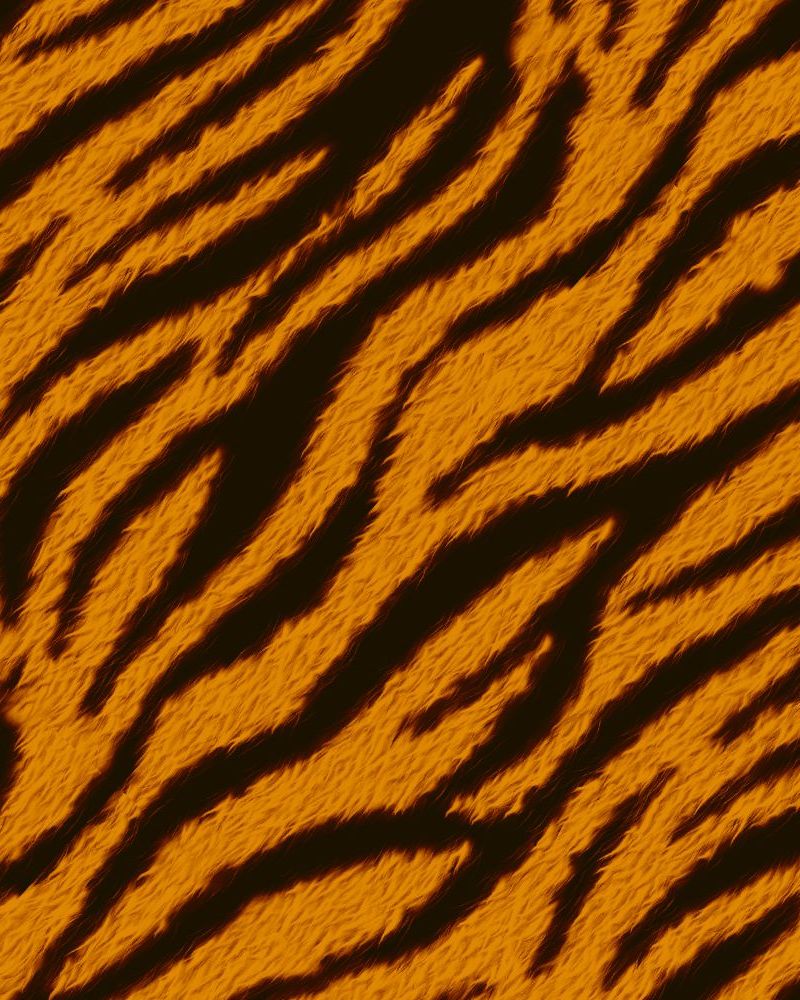 Tiger Stripes 44
