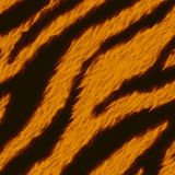 Tiger Stripes 44