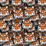 Tigers-24.jpg