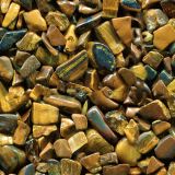 Tigers-Eye-22.jpg