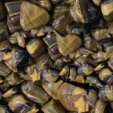 Tigers-Eye-24.jpg