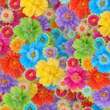 Tissue-Paper-Flowers.jpg