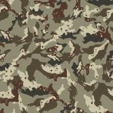 Tokyo-Camo.jpg