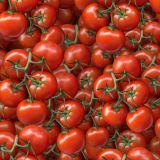 Tomatoes-23.jpg