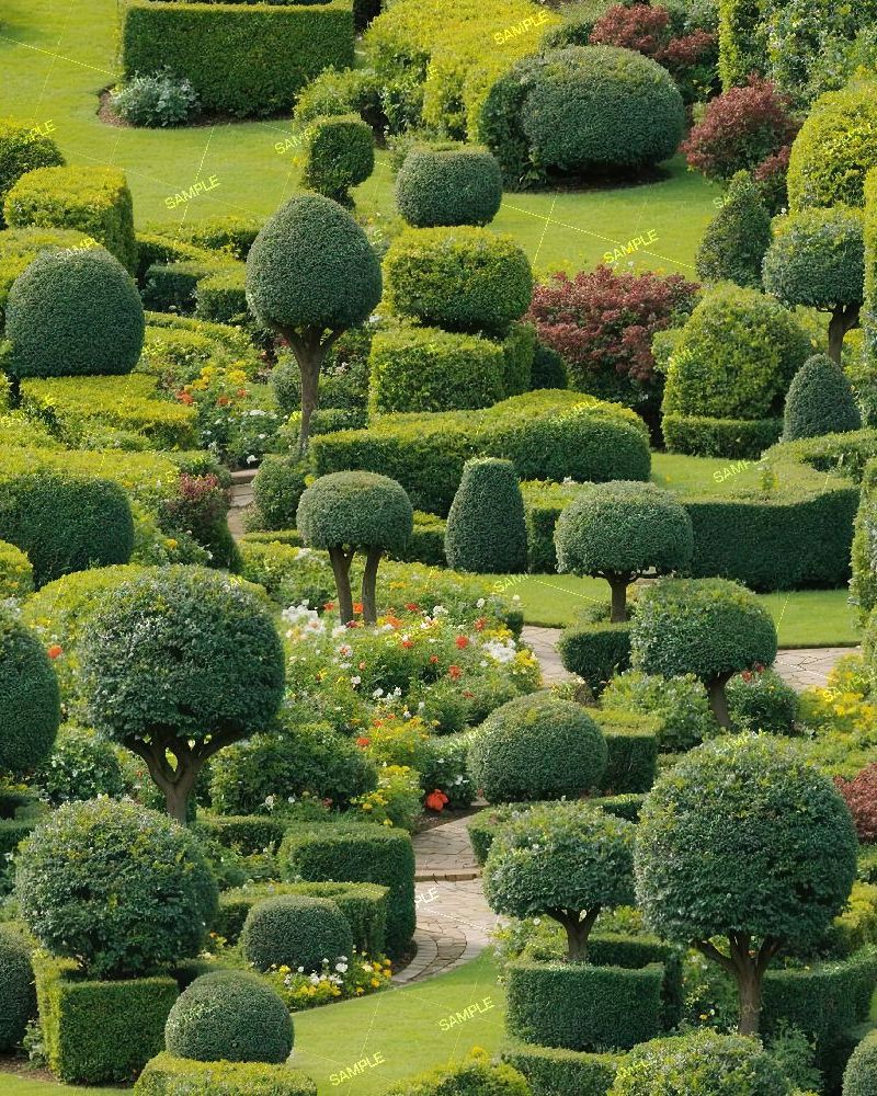 Topiary Garden