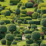 Topiary-Garden.jpg