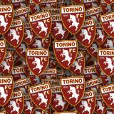Torino-FC.jpg