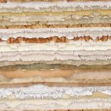 Torn-Paper-Edges.jpg