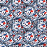 Toronto-Blue-Jays-22.jpg