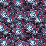 Toronto-Blue-Jays-23.jpg