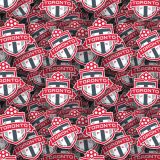 Toronto-FC-22.jpg