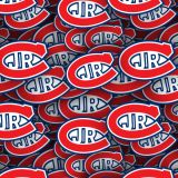 Toronto-Jr-Canadians-22.jpg